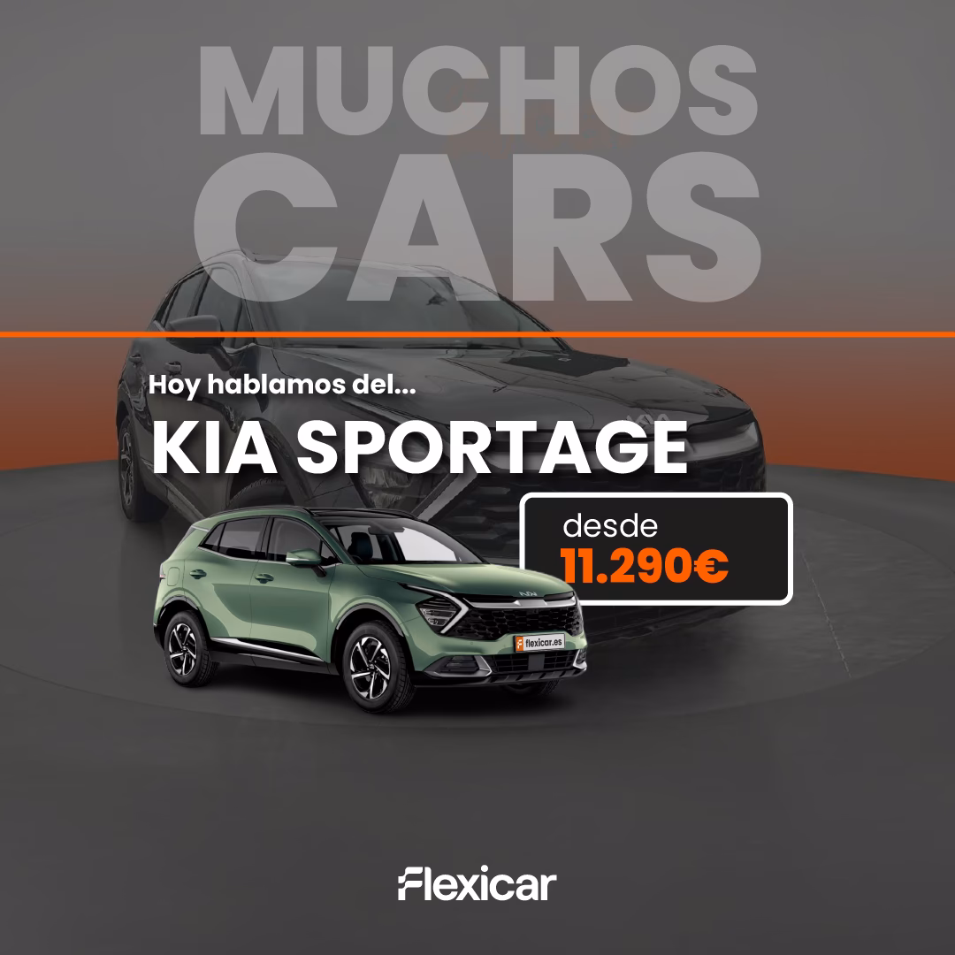 What is a trip computer in a Kia?