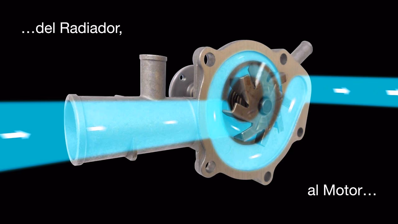 ¿Qué le pasa a un coche cuando falla la bomba de agua?