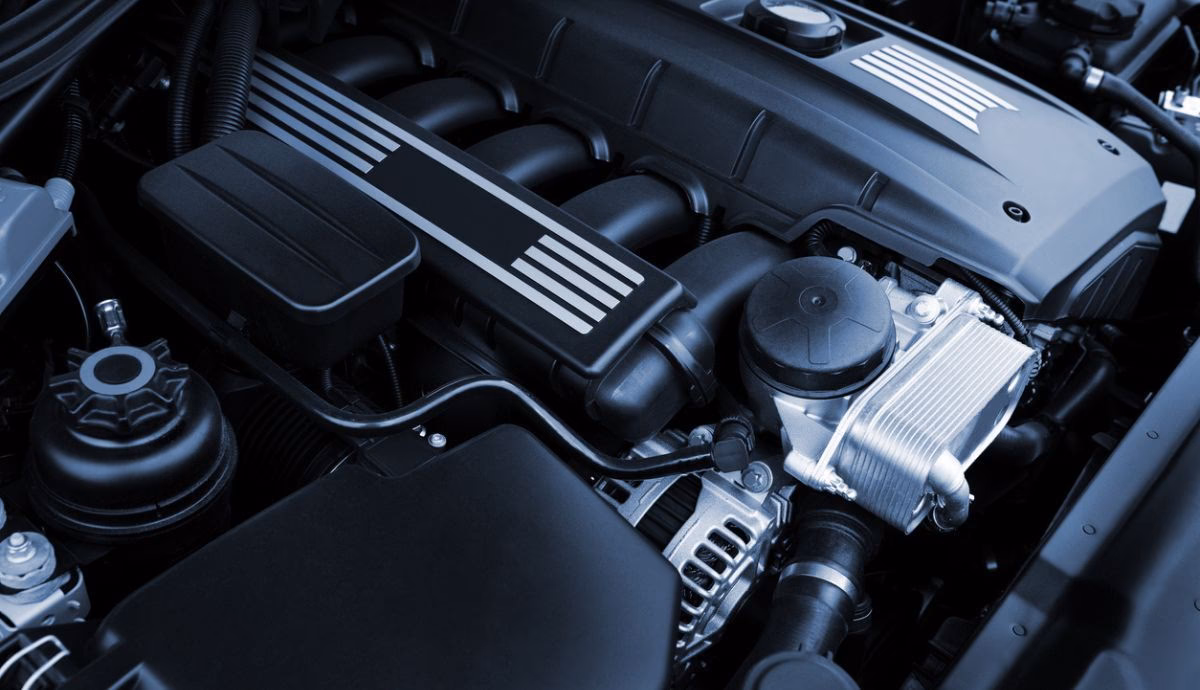 ¿Qué pasa si no funciona el canister?