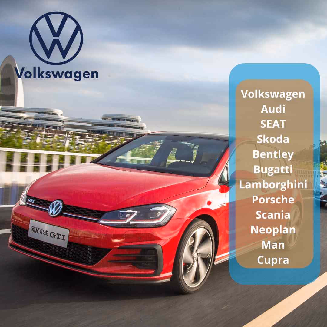 ¿Qué significa Grupo VAG?