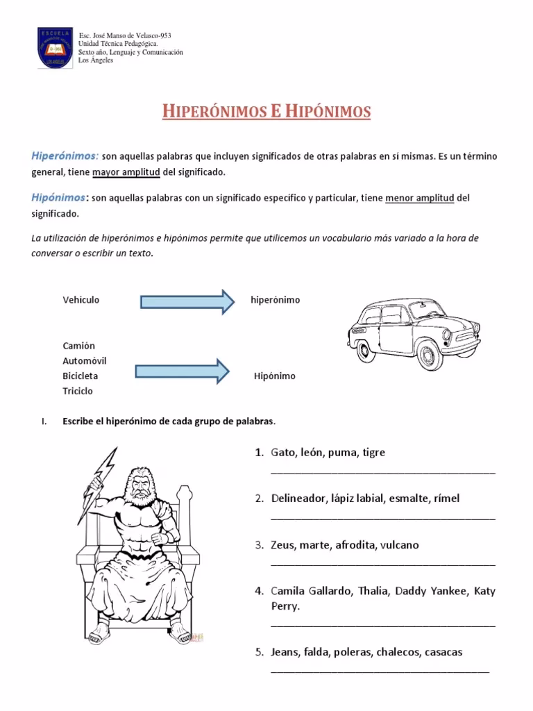 ¿Cuál es el hipónimo de coche?