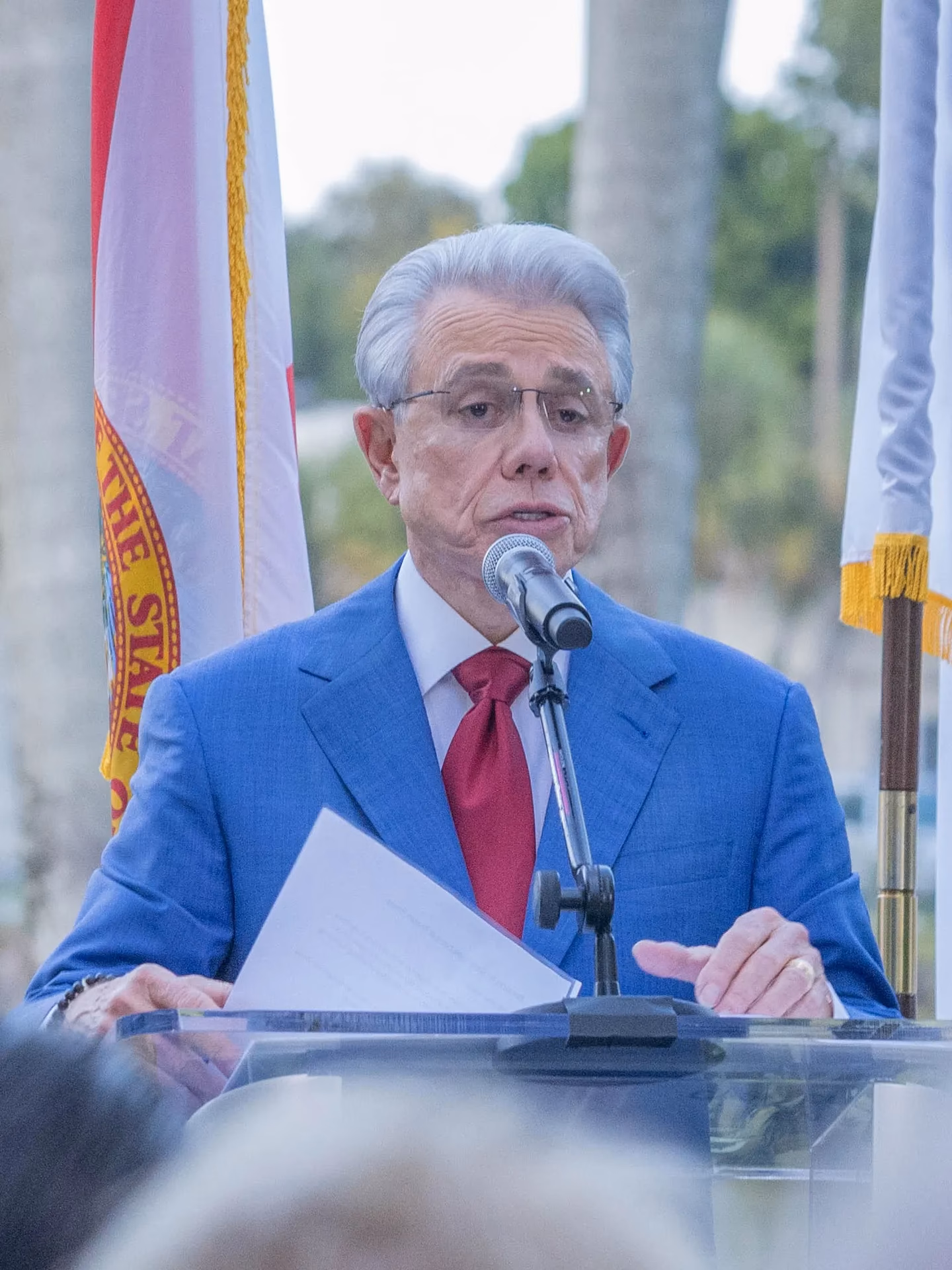 Who owns Leon's furniture Store?