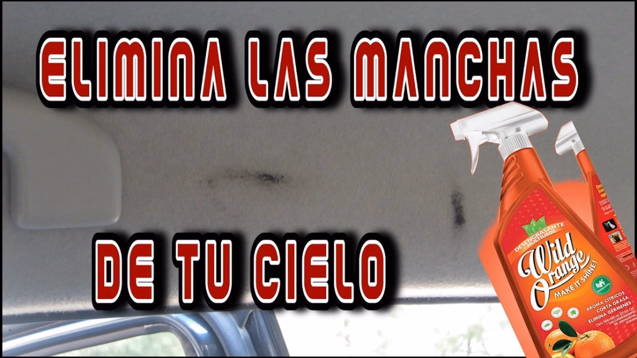 ¿Cómo limpiar el techo de tela de mi carro?