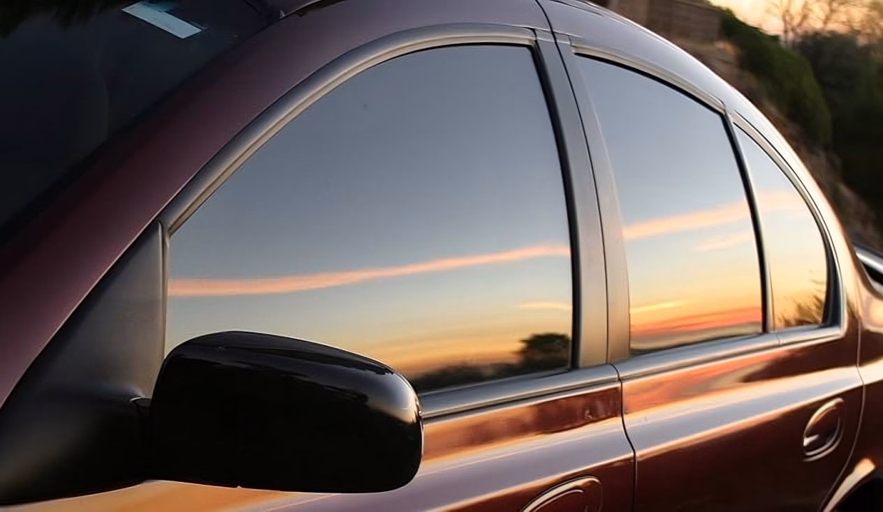 ¿Qué polarizado está permitido?