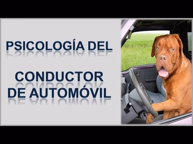 ¿Qué representa el automóvil en la salud mental?