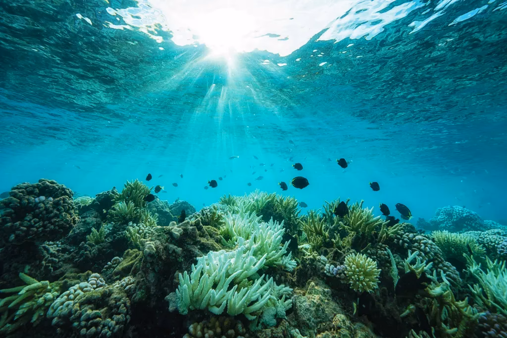 What airport code is sea?