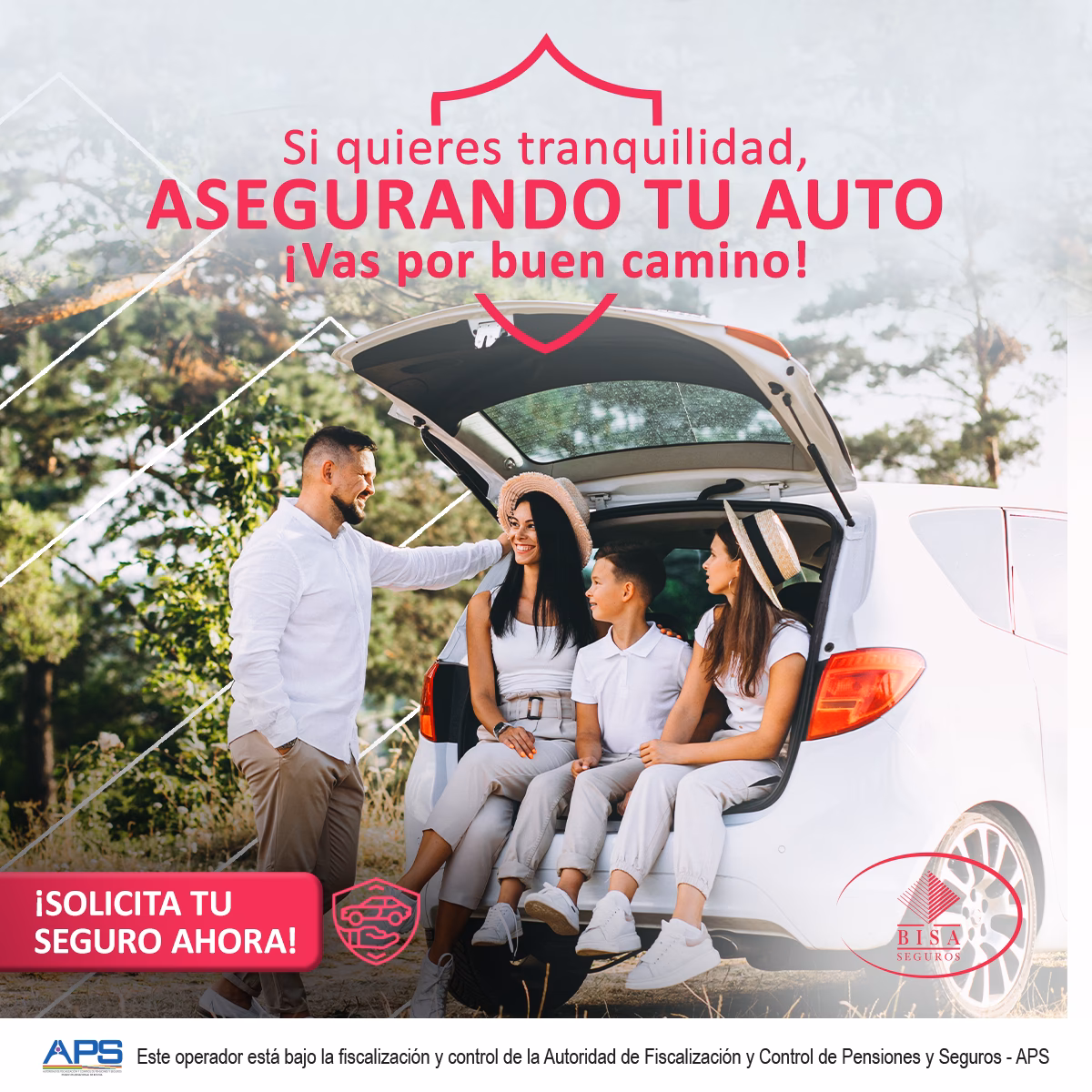 ¿Qué tipo de seguro es obligatorio para los vehículos en Bolivia?