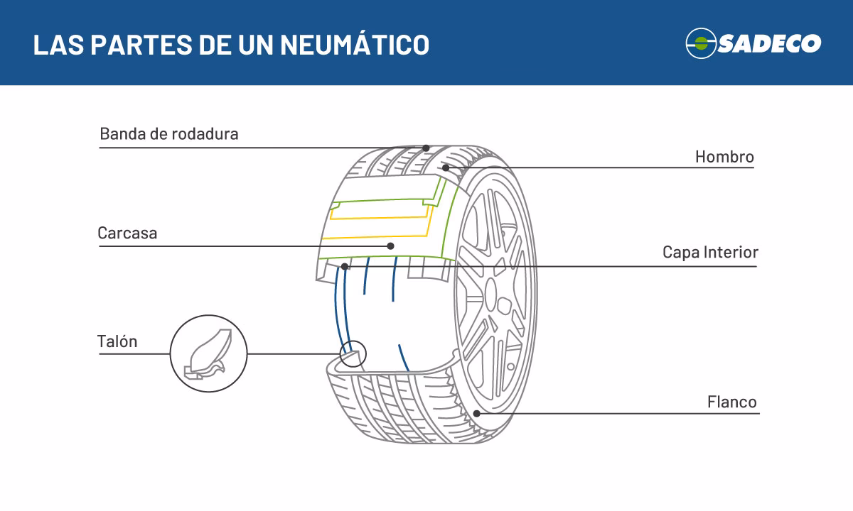 ¿Qué es el sistema neumático de un vehículo?