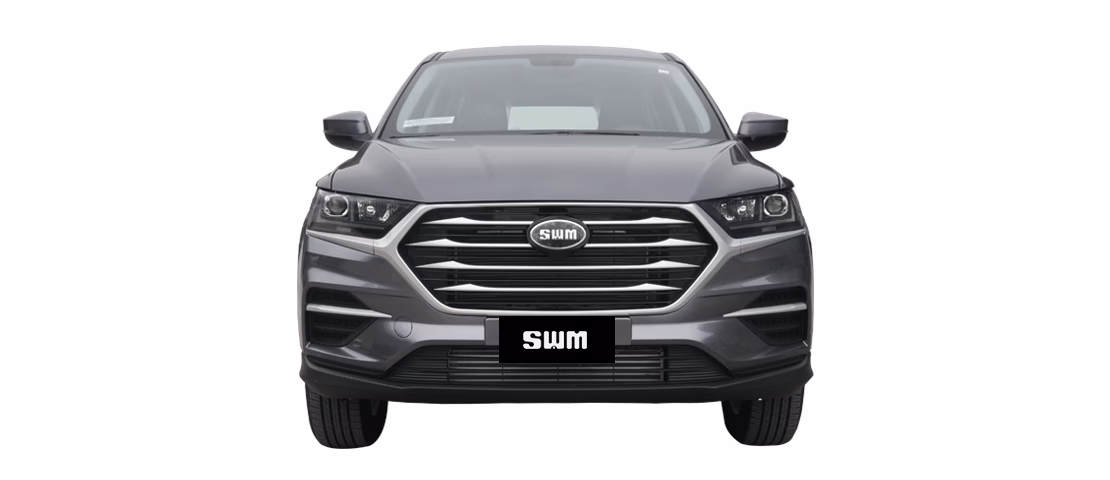 ¿Cuánto cuesta el coche SWM?