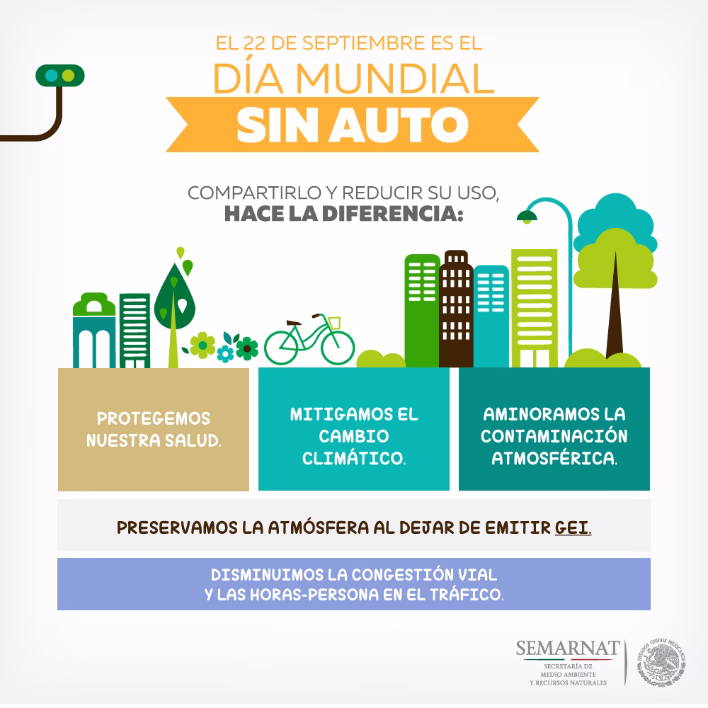 ¿Qué ano de carro se puede llevar a México?